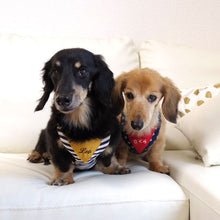 画像をギャラリービューアに読み込む, 犬用 ハーネス リード セット お散歩