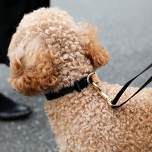 画像をギャラリービューアに読み込む, 犬用 首輪 ドッグカラー 無料名入れ dkw