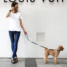 画像をギャラリービューアに読み込む, ペット 犬首輪 犬リード 小型犬 おすすめ