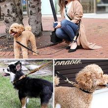 画像をギャラリービューアに読み込む, 犬用 ショルダーリード 首輪 セット
