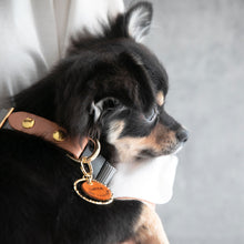 画像をギャラリービューアに読み込む, 迷子札 ネームタグ 迷子防止 お散歩