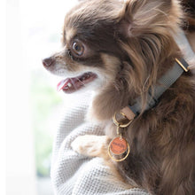 画像をギャラリービューアに読み込む, 迷子札 ネームタグ