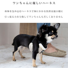 画像をギャラリービューアに読み込む, 犬 ハーネスリード お散歩 おしゃれ