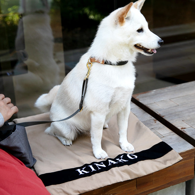 犬用 カフェマット ドッグカフェ