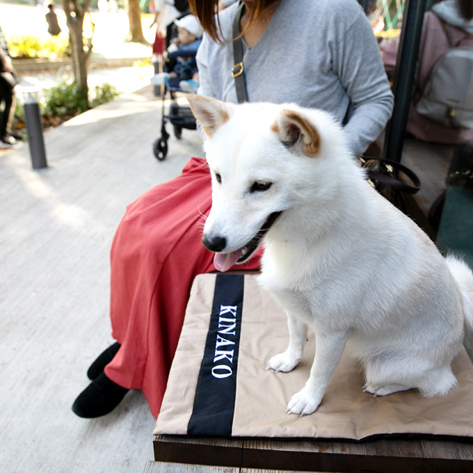 犬用 カフェマット マナー マナーシート ステイマット