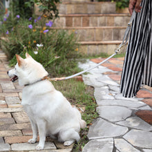 画像をギャラリービューアに読み込む, ペット 犬首輪 小型犬 豆しば
