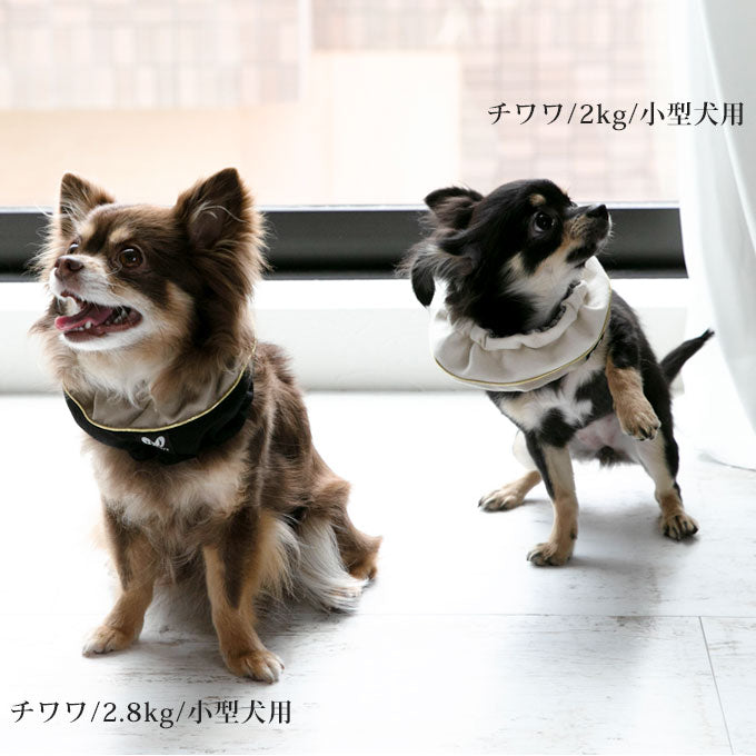 犬 夏 暑さ対策 ネッククーラー 小型犬 中型犬 大型犬