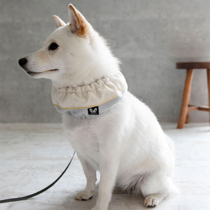 犬 夏 暑さ対策 ネッククーラー