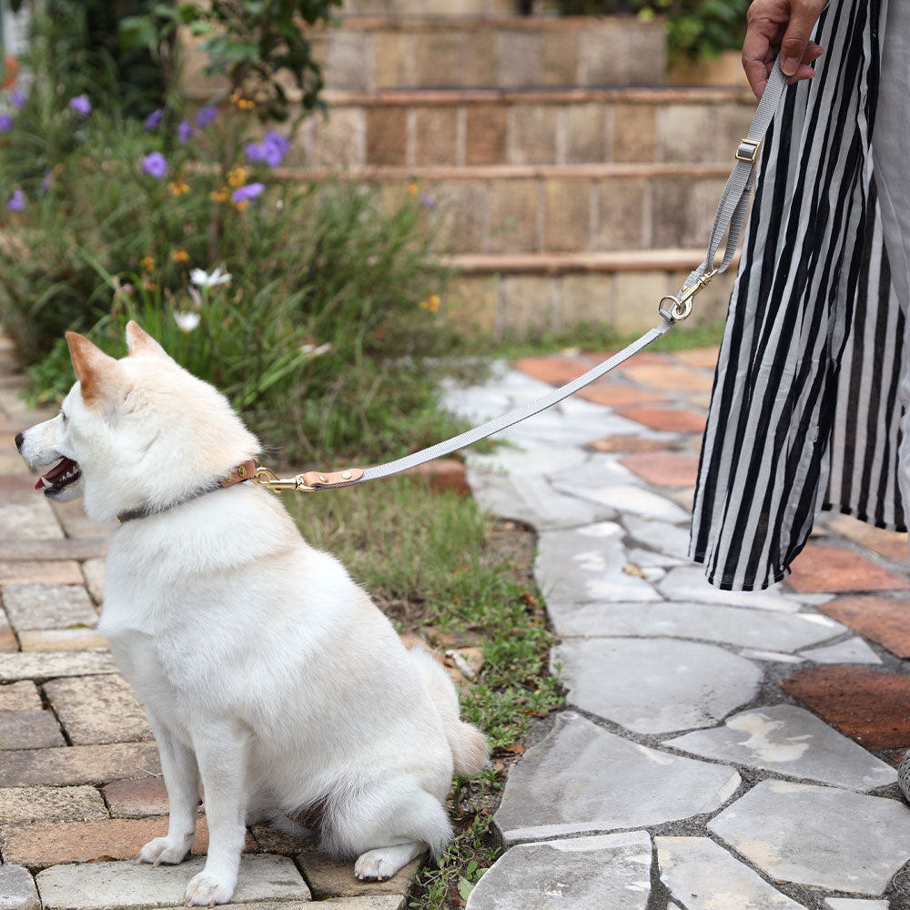 ペット 犬首輪 犬リード 小型犬 豆柴