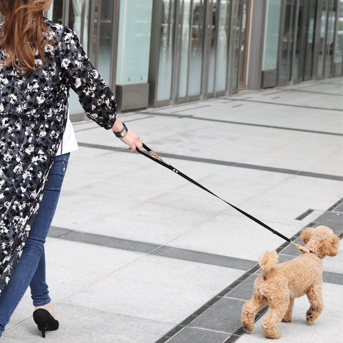 ペット 犬首輪 犬リード 小型犬 散歩