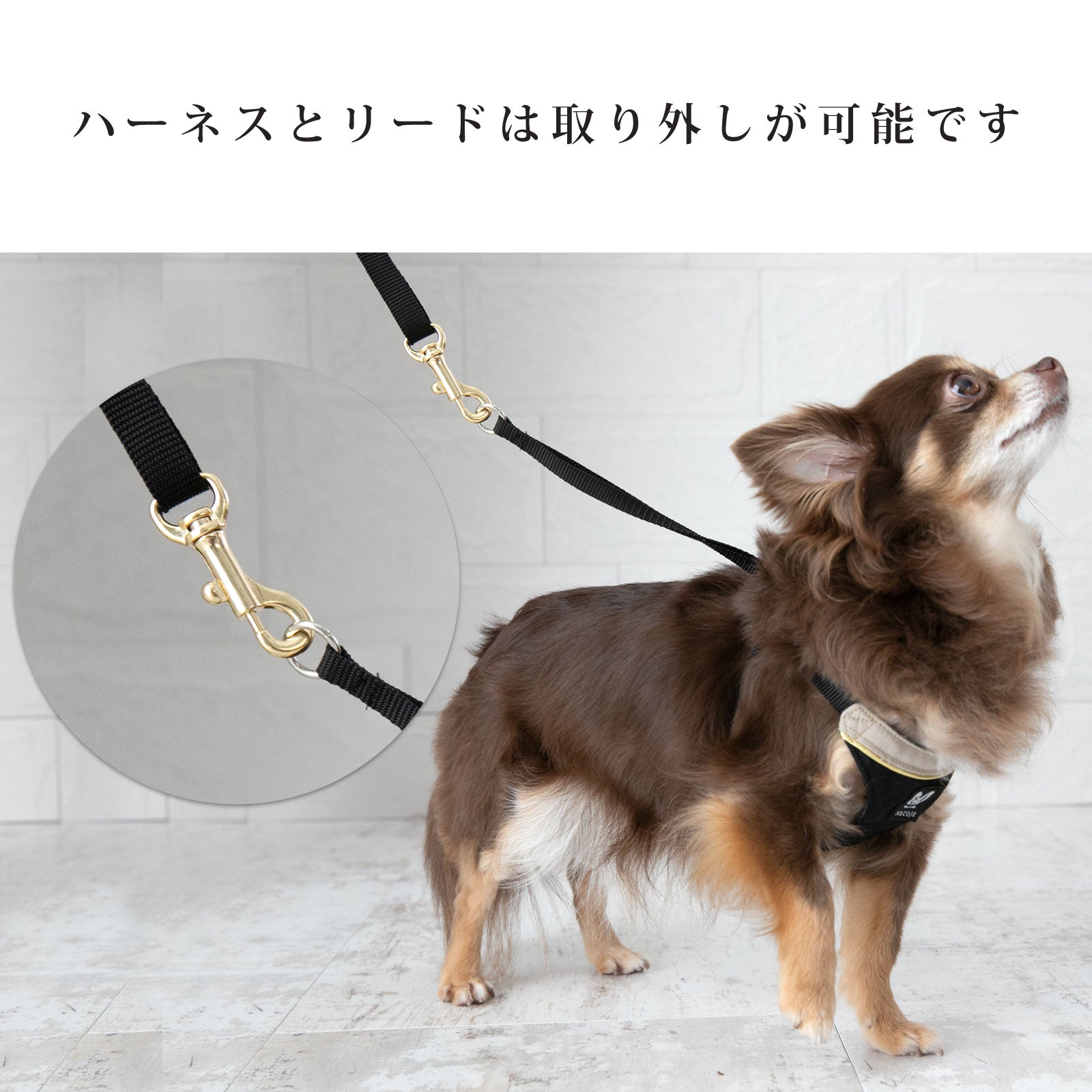 犬用 ハーネス リード セット 犬 小型犬 nhns